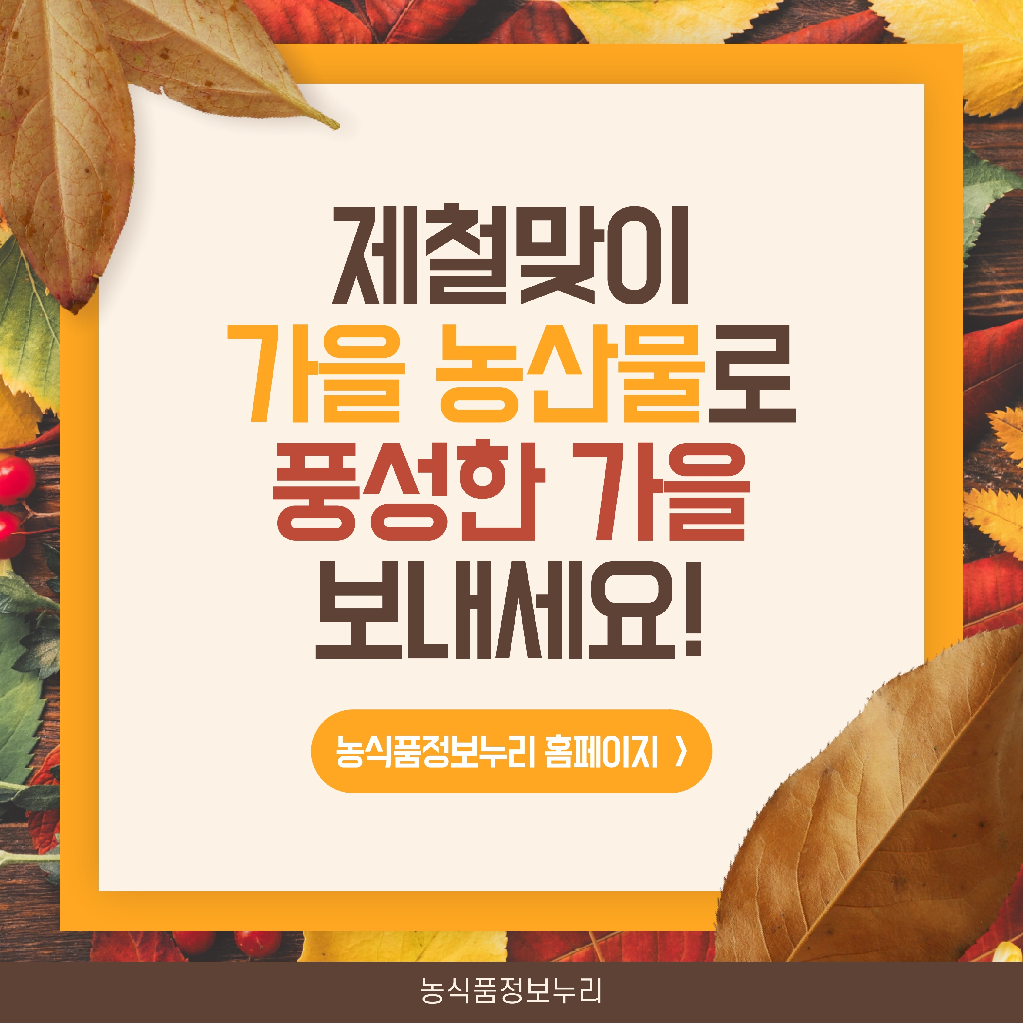 가을 제철맞이 농산물 이미지_마지막