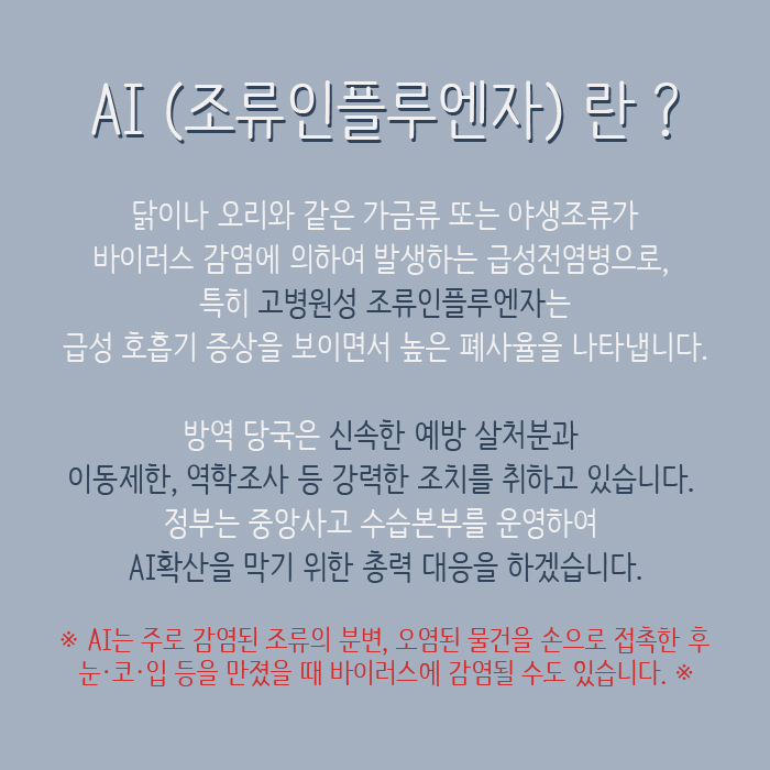 AI(조류인플루엔자) 란? 닭이나 오리와 같은 가금류 또는 야생조류가 바이러스 감염에 의하여 발생하는 급성전염병으로, 특히 고병원성 조류인플루엔자는 급성 호흡기 증상을 보이면서 높은 폐사율을 나타냅니다. 방역 당국은 신속한 예방 살처분과 이동제안, 역학조사 등 강력한 조치를 취하고 있습니다. 정보는 중앙사고 수습본부를 운영하여 AI확산을 막시 위한 총력 대응을 하겠습니다. ※ AI는 주로 감염된 조류의 분변, 오염된 물건을 손으로 접촉한 후 눈·코·입 등을 만졌을 때 바이러스에 감염될 수도 있습니다. ※
