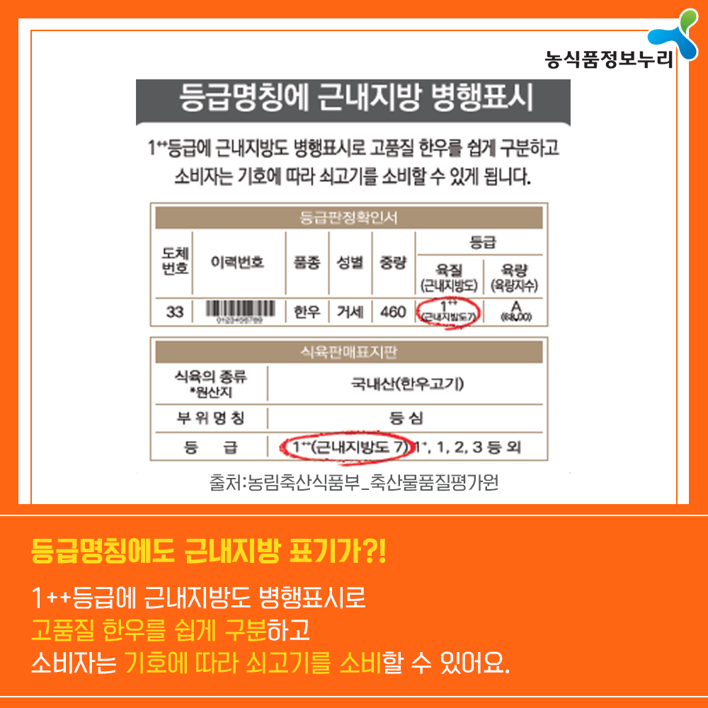 농식품정보누리 - 등급명칭에도 근내지방 표기가?! 1++등급에 근내지방도 병행표시로 고품질 한우를 쉽게 구분하고 소비자는 기호에 따라 쇠고리를 소비할 수 있어요.