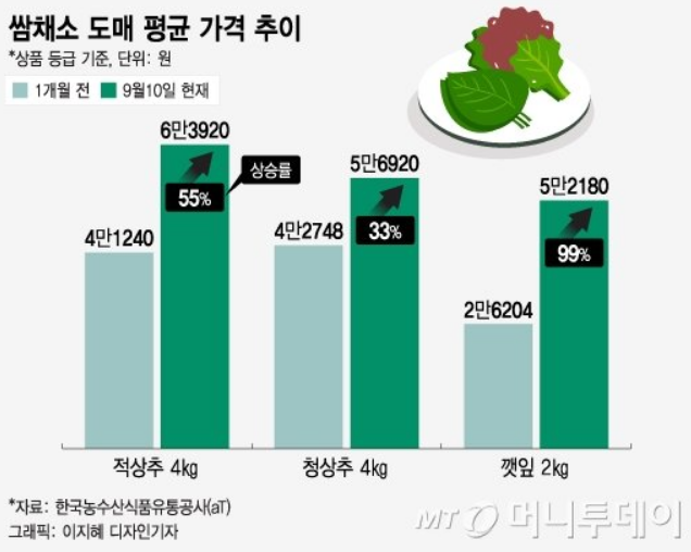 쌈채소 도매 평균 가격 추이(*상품 등급 기준, 단위 : 원) - 적상추(4kg) 1개월 전 4만1240, 9월10일 현재 6만3920(상승률 55%) / 청상추(4kg) 1개월 전 4만2748, 9월10일 현재 5만6920(상승률 33%) / 깻잎(2kg) 1개월 전 2만6204, 9월10일 현재 5만2180(상승률 99%) - *자료 : 한국농수산식품유통공사(aT) 그래픽 : 이지혜 디자인기자