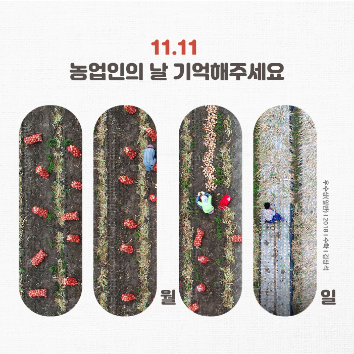 11.11 농업인의 날 기억해주세요 월 일 우수상(일반) 2018 수확 김상석