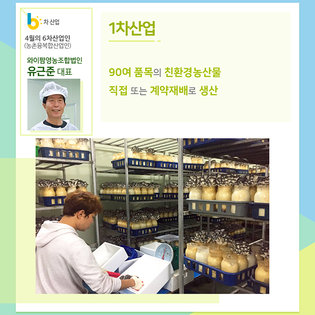 4월의 6차산업인(농촌융복합산업인)
와이팜영농조합법인
유근준 대표
1차 산업
90여 품목의 친환경농산물 직접 또는 게약재배로 생산