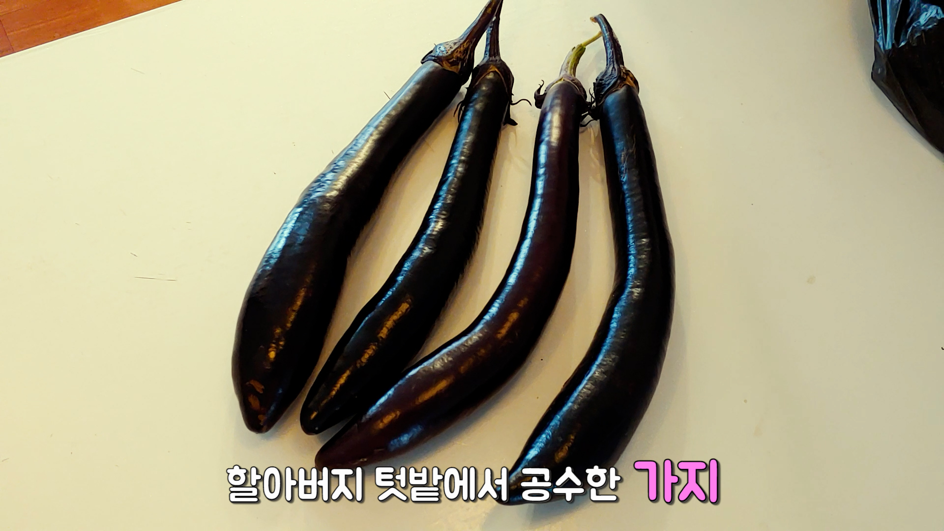 할아버지 텃밭에서 공수한 가지