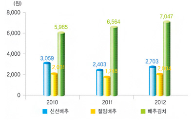 연도별 배추식품 구입가격