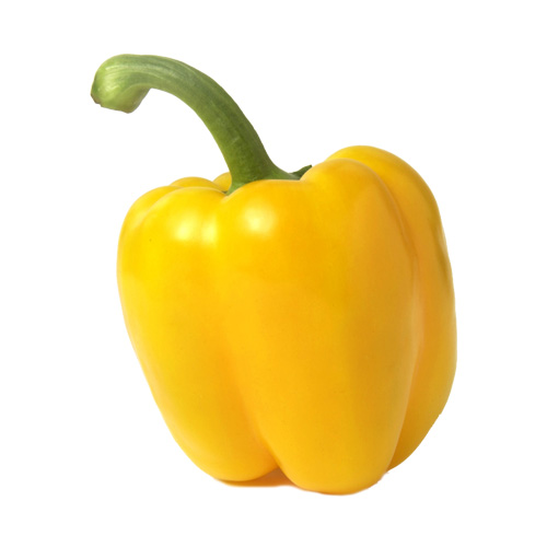 파프리카