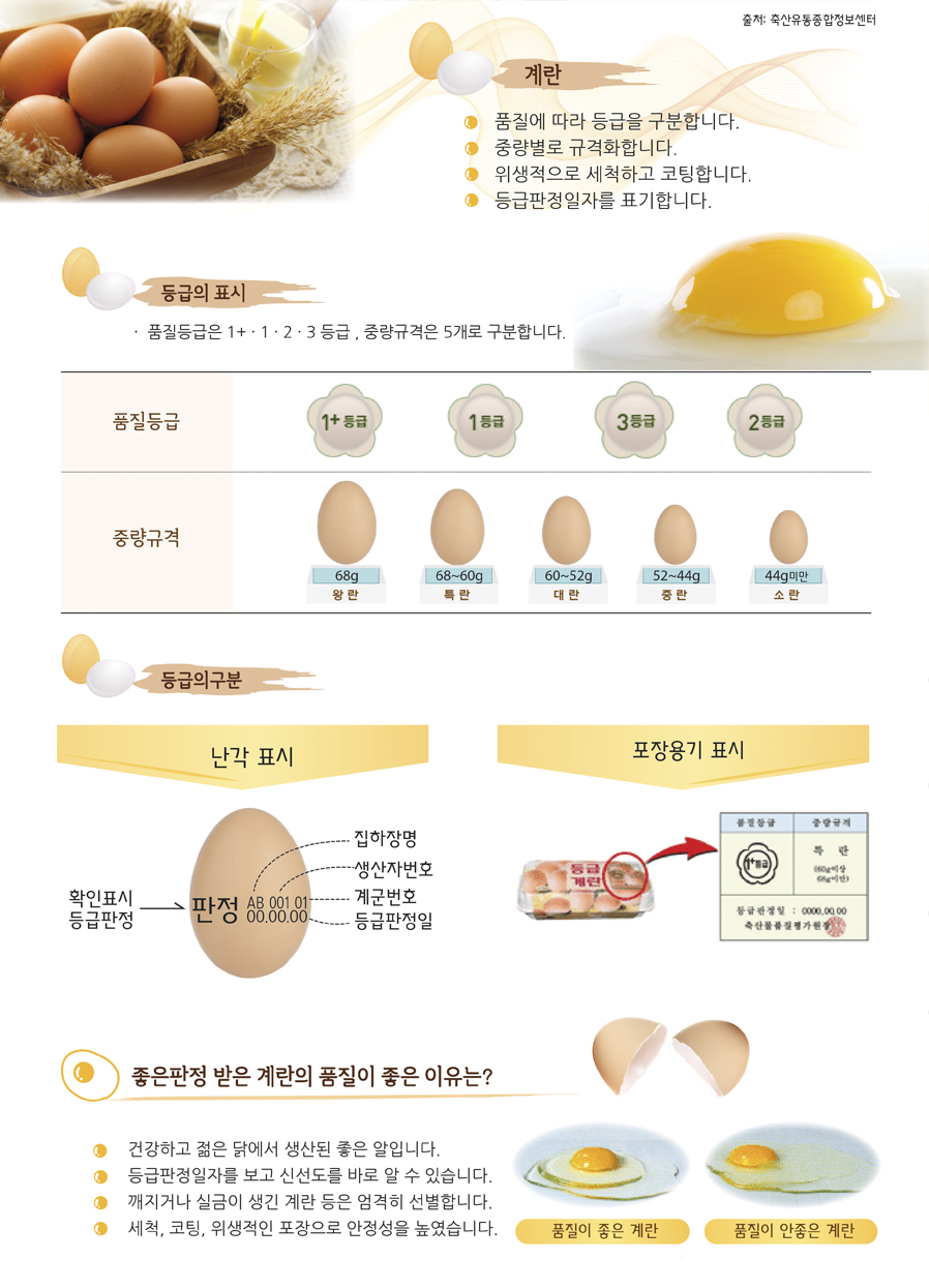 좋은 계란 고르는 요령 출처:축산유통종합정보센터