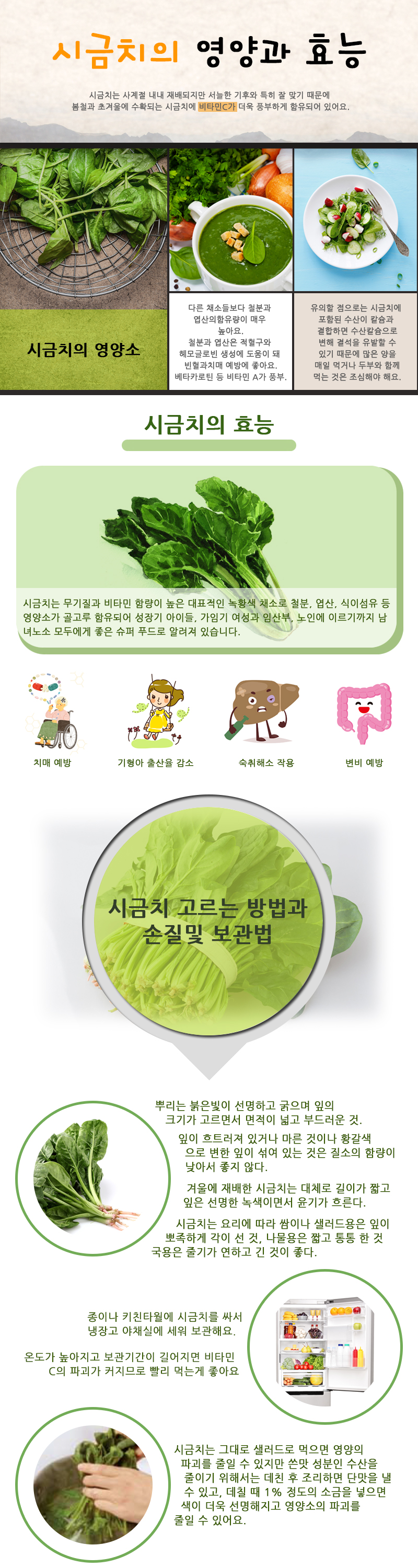 시금치의 영양과 효능 시금치는 사계절 내내 재배되지만 서늘한 기후와 특히 잘 맞기 때문에 봄철과 초겨울에 수확되는 시금치에 비타민C가 더욱 풍부하게 함유되어 있어요. 시금치의 영양소 다른 채소들보다 철분과 엽산의 함유량이 매우 높아요. 철분과 엽산은 적혈구와 헤모글로빈 생성에 도움이 돼 빈혈과 치매 예방에 좋아요. 베타카로틴 등 비타민 A가 풍부. 유의할 점으로는 시금치에 포함된 수산이 칼슘과 결합하면 수산칼슘으로 변해 결석을 유발할 수 있기 때문에 많은 양을 매일 먹거나 두부와 함께 먹는 것은 조심해야 해요. 시금치의 효능 시금치는 무기질과 비타민 함량이 높은 대표적인 녹황색 채소로 철분, 엽산, 식이섬유 등 영양소가 골고루 함유되어 성장기 아이들, 가임기 여성과 임산부, 노인에 이르기까지 남녀노소 모두에게 좋은 슈퍼 푸드로 알려져 있습니다. 치매 예방 기형아 출산율 감소 숙취해소 작용 변비 예방 시금치 고르는 방법과 손질 및 보관법 뿌리는 붉은빛이 선명하고 굵으며 잎의 크기가 고르면서 면적이 넓고 부드러운 것. 잎이 흐트러져 있거나 마른 것이나 황갈색으로 변한 잎이 섞여 있는 것은 질소의 함량이 낮아서 좋지 않다. 겨울에 재배한 시금치는 대체로 길이가 짧고 잎은 선명한 녹색이면서 윤기가 흐른다. 시금치는 요리에 따라 쌈이나 샐러드용은 잎이 뾰족하게 각이 선 것, 나물용은 짧고 통통 한 것 국용은 줄기가 연하고 긴 것이 좋다. 종이나 키친타월에 시금치를 싸서 냉장고 야채실에 세워 보관해요. 온도가 높아지고 보관기관이 길어지면 비타민C의 파괴가 커지므로 빨리 먹는게 좋아요 시금치는 그대로 샐러드로 먹으면 영양의 파괴를 줄일 수 있지만 쓸맛 성분인 수산을 줄이기 위해서는 데친 후 조리하면 단맛을 낼 수 있고, 데칠 때 1% 정도의 소금을 넣으면 색이 더욱 선명해지고 영양소의 파괴를 줄일 수 있어요.