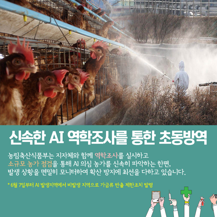 신속한 AI 역학조사를 통한 초동방역 농림축산식품부는 지자체와 함께 역학조사를 실시하고 소규모 농가 점검을 통해 AI 의심 농가를 신속히 파악하는 한편, 발생 상황을 면밀히 모니터하여 확산 방지에 최선을 다하고 있습니다. *6월 7일부터 AI 발생지역에서 비발생 지역으로 가금류 반출 제한조치 발령