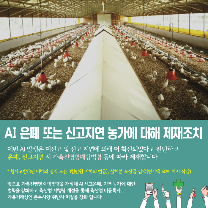 AI 은폐 또는 신고지연 농가에 대해 제재조치 이번 AI 발생은 미신고 및 신고 지연에 의해 더 확산되었다고 판단하고 은폐, 신고지연 시 가축전염병예방법령 등에 따라 제재합니다 *형사고발(3년 이하의 징역 또는 3천만원 이하의 벌금), 살처분 보상금 감액(평가액 60% 까지 삭감) 앞으로 가축전염병 예방법령을 개정해 AI 신고은폐, 지연 농가에 대한 벌칠을 강화하고 축산법 시행령 개정을 통해 축산업 미등록자, 가축거래상인 준수사항 위반자 처벌을 강화 합니다