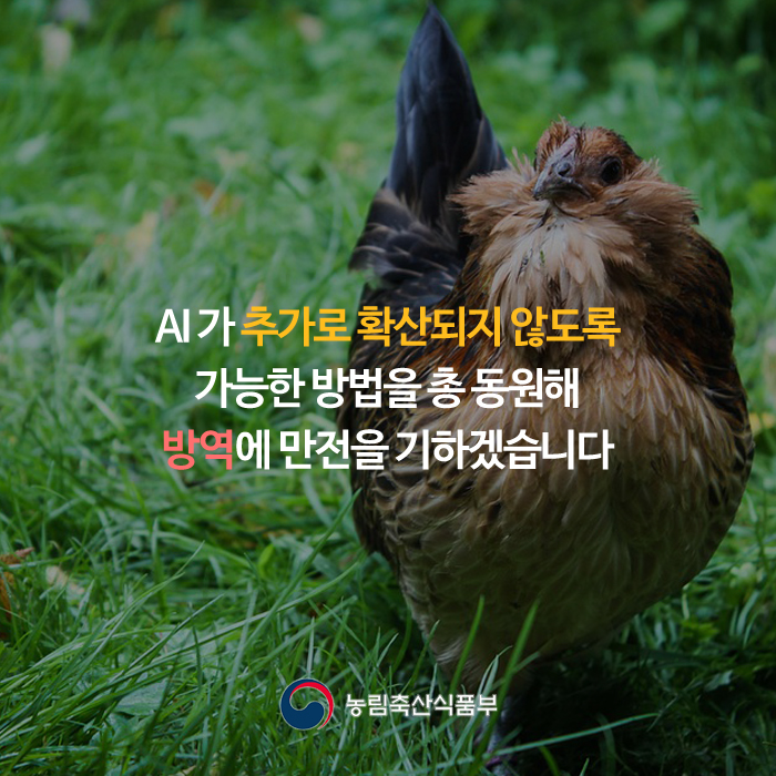 AI가 추가로 확산되지 않도록 가능한 방법을 총 동원해 방역에 만전을 기하겠습니다 농림축산식품부