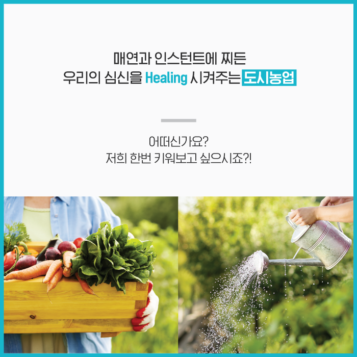 매연과 인스턴트에 찌든 우리의 심신을 Healing 시켜주는 도시농업 어떠신가요? 저희 한번 키워보고 싶으시죠?!