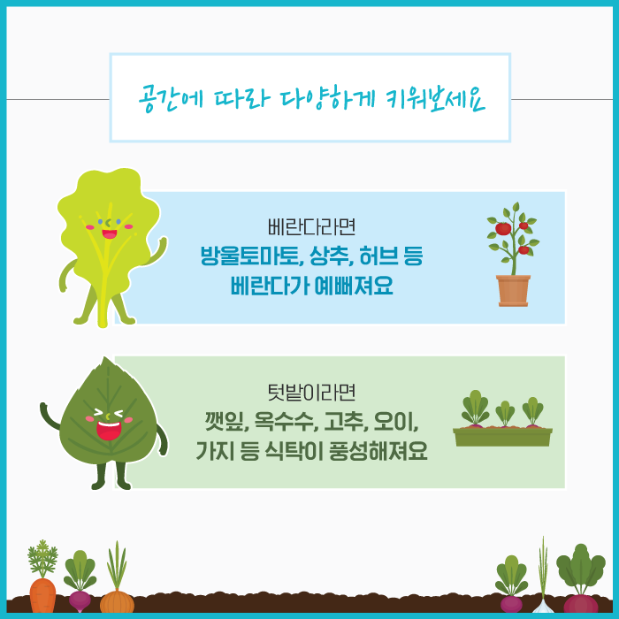 공간에 따라 다양하게 키워보세요 베란다라면 방울토마토, 상추, 허브 등 베란다가 예뻐져요 텃밭이라면 깻잎, 옥수수, 고추, 오이, 가지 등 식탁이 풍성해져요