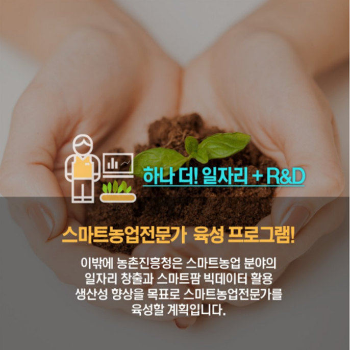하나 더! 일자리 + R&D 스마트농업전문가 육성 프로그램! 이밖에 농촌진흥청은 스마트농업 분야의 일자리 창출과 스마트팜 빅데이터 활용 생산성 향상을 목표로 스마트농업전문가를 육성할 계획입니다.