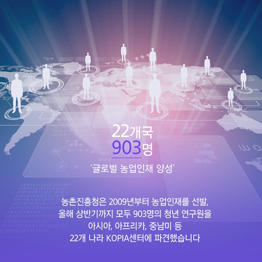 22개국 903명 '글로벌 농업인재 양성' 농촌진흥청은 2009년부터 농업인재를 선발, 올해 상반기까지 모두 903명의 청년 연구원을 아시아, 아프리카, 중남미 등 22개 나라 KOPIA센터에 파견했습니다