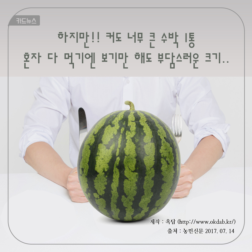 카드뉴스 하지만!! 커도 너무 큰 수박 1통 혼자 다 먹기엔 보기만 해도 부담스러운 크기.. 제작 : 옥답 (http://www.okdab.kr/) 출처 : 농민신문 2017.07.14