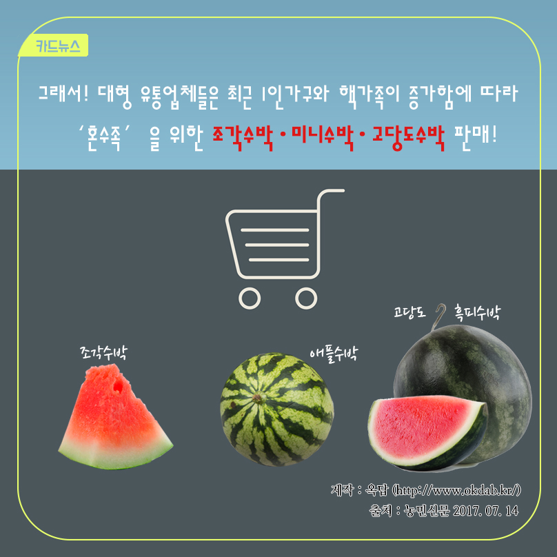 카드뉴스 그래서! 대형 유통업체들은 최근 1인가구와 핵가족이 증가함에 따라 '혼수족'을 위한 조각수박, 미니수박, 고당도수박 판매! 조각수박 애플수박 고당도 흑피수박 제작 : 옥답 (http://www.okdab.kr/) 출처 : 농민신문 2017.07.14