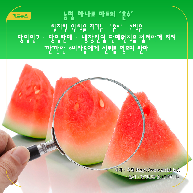 카드뉴스 농협 하나로 마트의 '혼수' 철저한 원칙을 지키는 '혼수' 수박은 당일입고, 당일판매, 냉장진열 판매원칙을 철저하게 지켜 깐깐한 소비자들에게 신뢰를 얻으며 판매 제작 : 옥답 (http://www.okdab.kr/) 출처 : 농민신문 2017.07.14