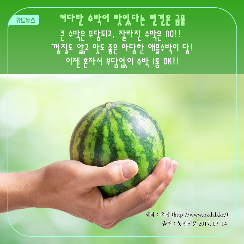 카드뉴스 커다란 수박이 맛있다는 편견은 금물 큰 수박은 부담되고, 잘라진 수박은 no!! 껍질도 얇고 맛도 좋은 아담한 애플수박이 답! 이젠 혼자서 부담없이 수박 1통 OK!! 제작 : 옥답 (http://www.okdab.kr/) 출처 : 농민신문 2017.07.14