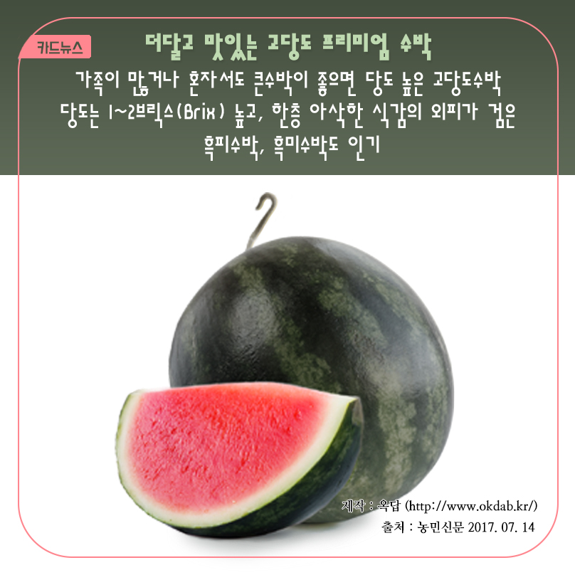 카드뉴스 더달고 맛있는 고당도 프리미엄 수박 가족이 많거나 혼자서도 큰수박이 좋으면 당도 높은 고당도수박 당도는 1~2브릭스(Brix) 높고, 한층 아삭한 식감의 외피가 검은 흑피수박, 흑미수박도 인기 제작 : 옥답 (http://www.okdab.kr/) 출처 : 농민신문 2017.07.14