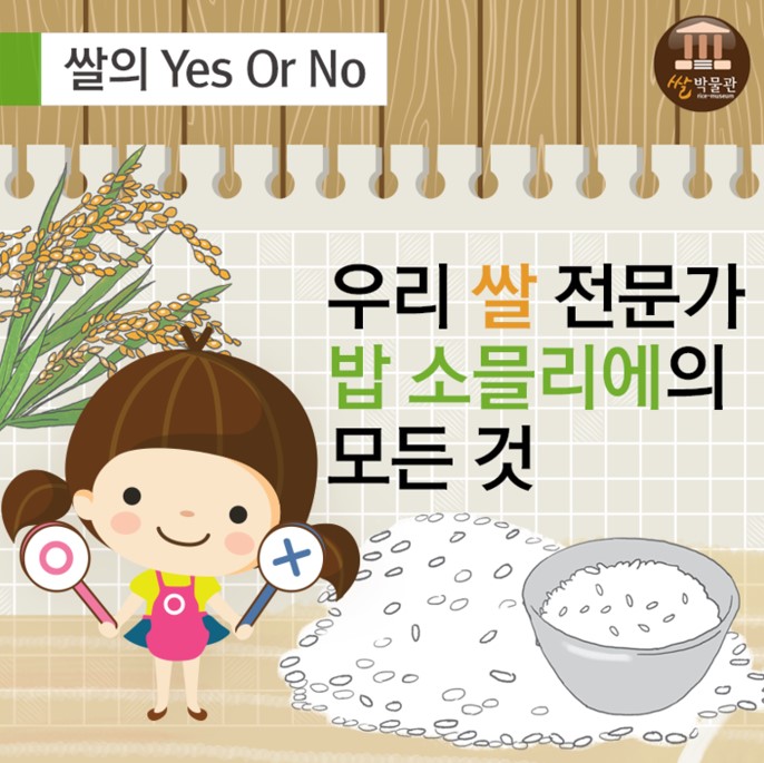 쌀박물관 쌀의 Yes Or No 우리 쌀 전문가 밥 소믈리에의 모든 것 O X