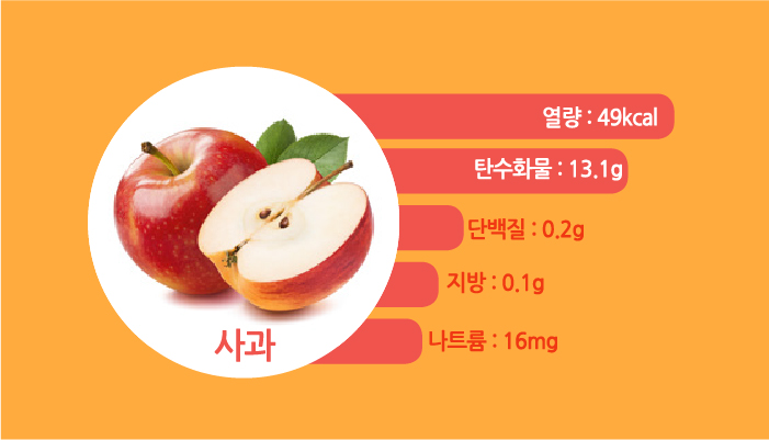사과 열량:49kcal 탄수화물:13.1g 단백질:0.2g 지방:0.1g 나트륨:16mg